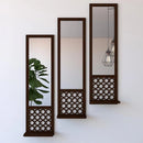 Set of 3 Wooden Mirror Wall Shelves,